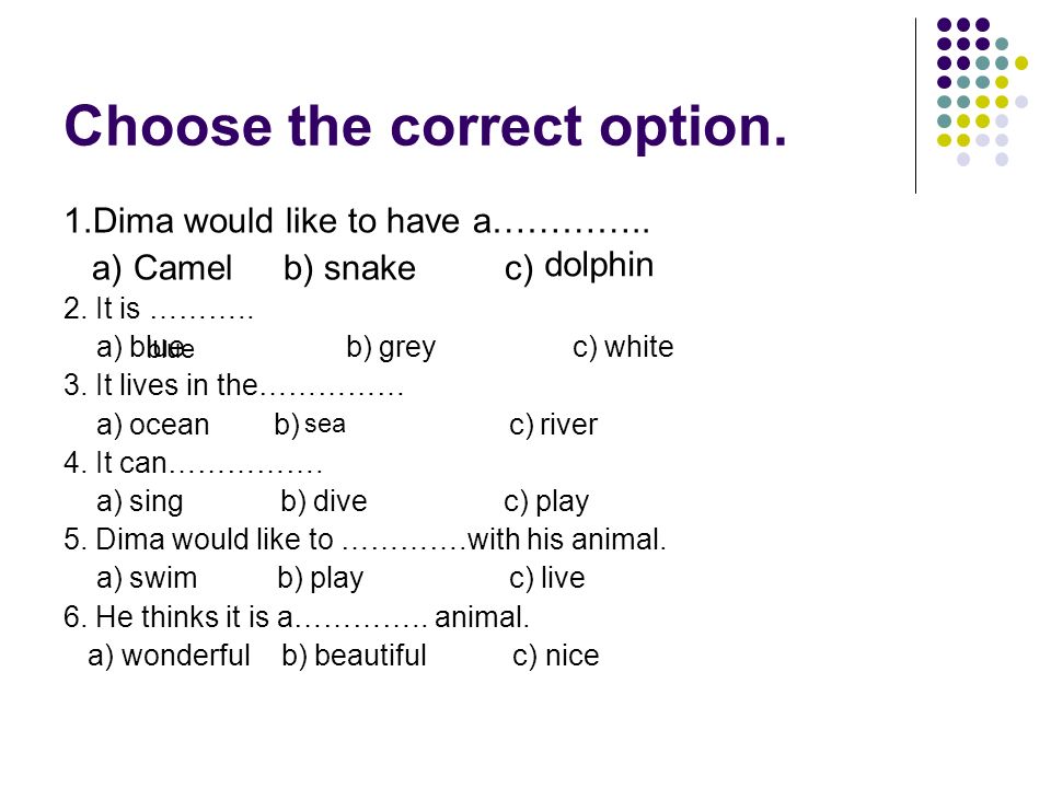 Choose the correct option. 1.Dima would like to have a…………..