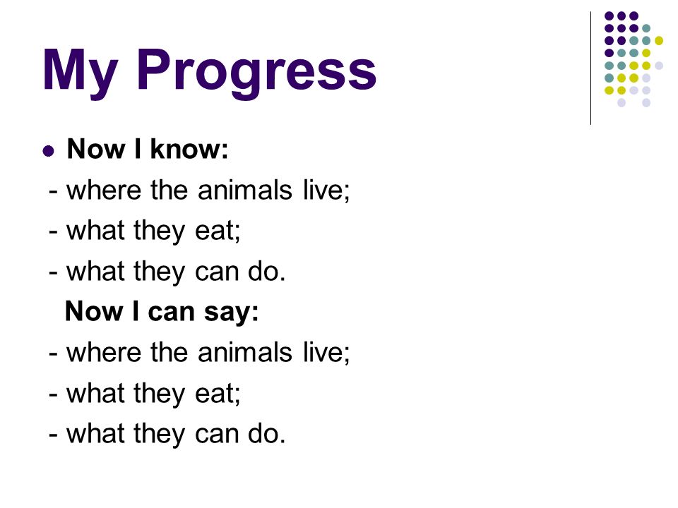 My Progress Now I know: - where the animals live; - what they eat; - what they can do.