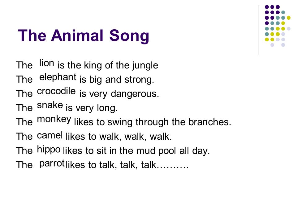 The Animal Song elephant crocodile snake monkey camel hippo parrot lion The is the king of the jungle The is big and strong.