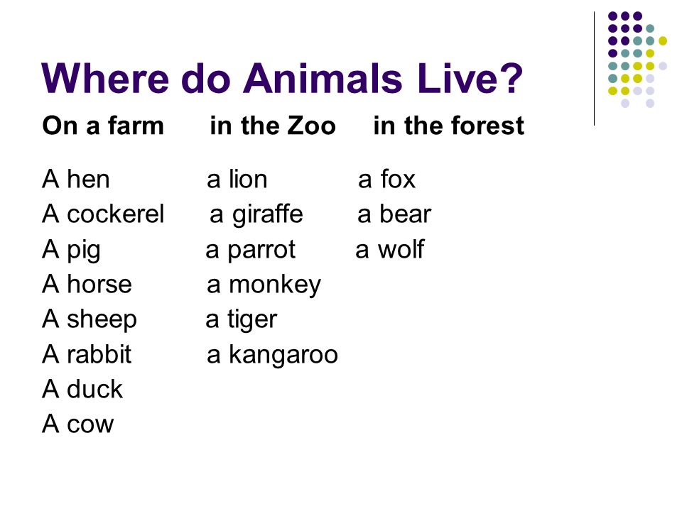 Where do Animals Live.