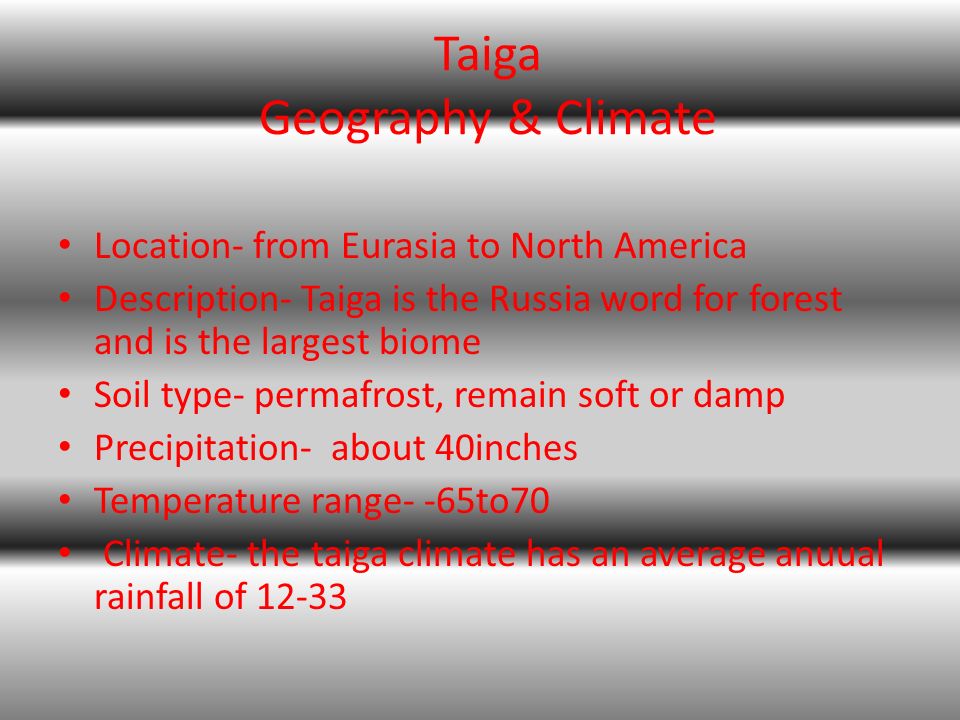 Taiga Geography & Climate Location- from Eurasia to North America Description- Taiga is the Russia word for forest and is the largest biome Soil type- permafrost, remain soft or damp Precipitation- about 40inches Temperature range- -65to70 Climate- the taiga climate has an average anuual rainfall of 12-33