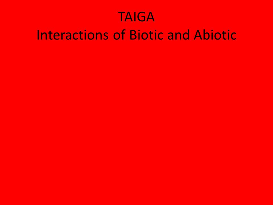 TAIGA Interactions of Biotic and Abiotic