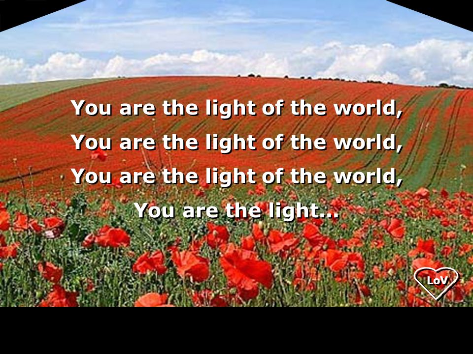 LoV You are the light of the world, You are the light of the world, You are the light of the world, You are the light...