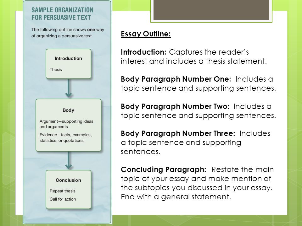 essay outline persuasive sentence essay outline persuasive sentence