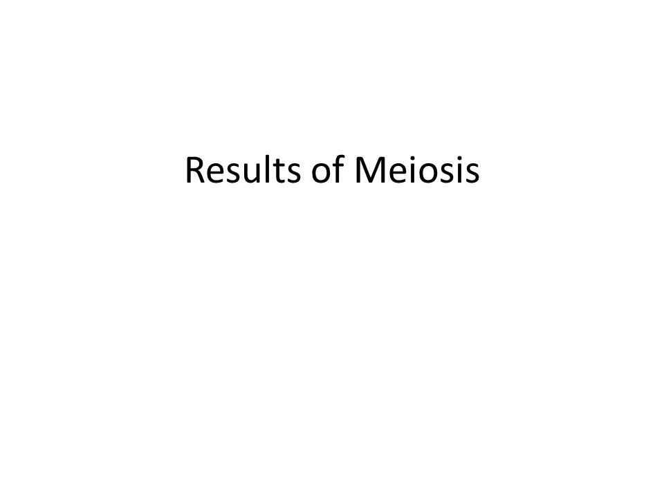 Results of Meiosis