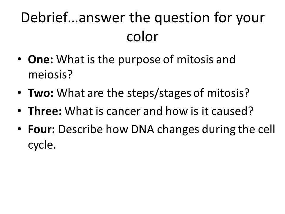 Debrief…answer the question for your color One: What is the purpose of mitosis and meiosis.