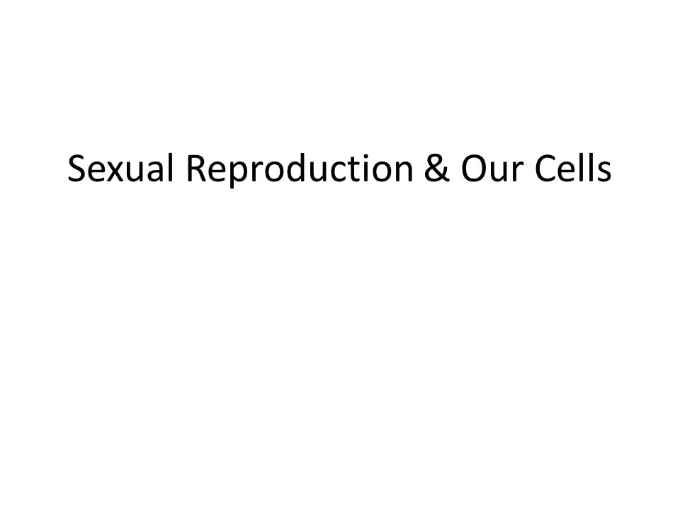 Sexual Reproduction & Our Cells