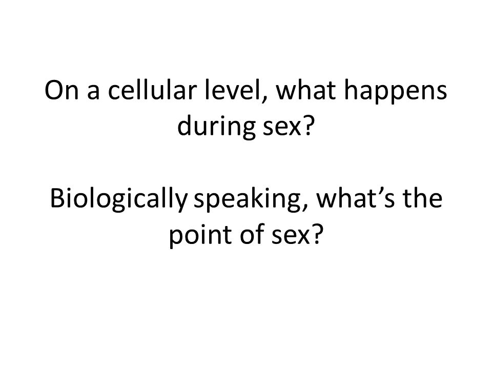On a cellular level, what happens during sex Biologically speaking, what’s the point of sex