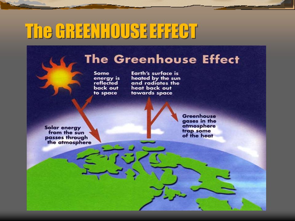 The GREENHOUSE EFFECT