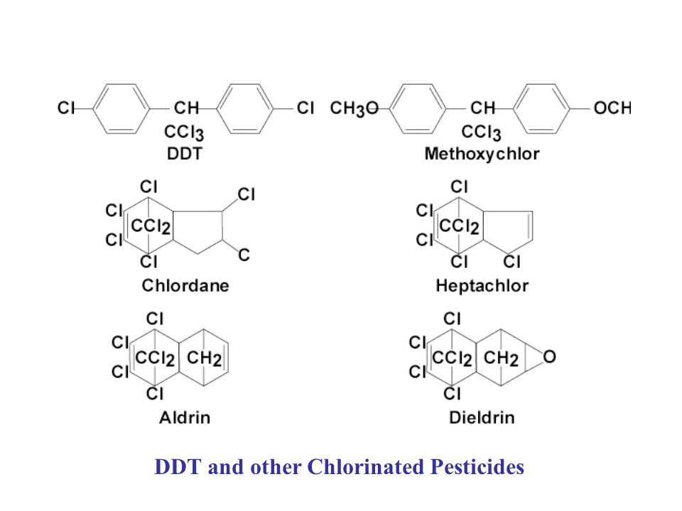 Chlordane Prozac