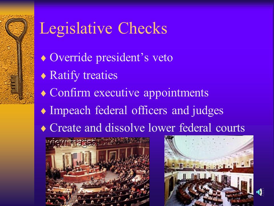 Executive Checks  Propose laws to Congress  Veto laws made by Congress  Negotiate foreign treaties  Appoint federal judges  Grant pardons to federal offenders