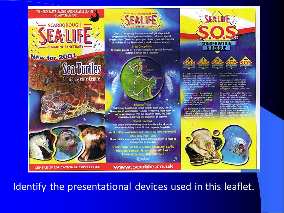 Identify the presentational devices used in this leaflet.
