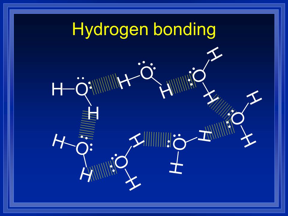 Hydrogen bonding H H O H H O H H O H H O H H O H H O H H O