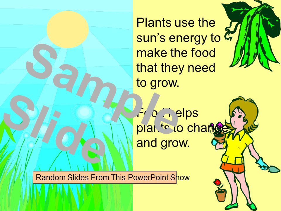 Plants use the sun’s energy to make the food that they need to grow.