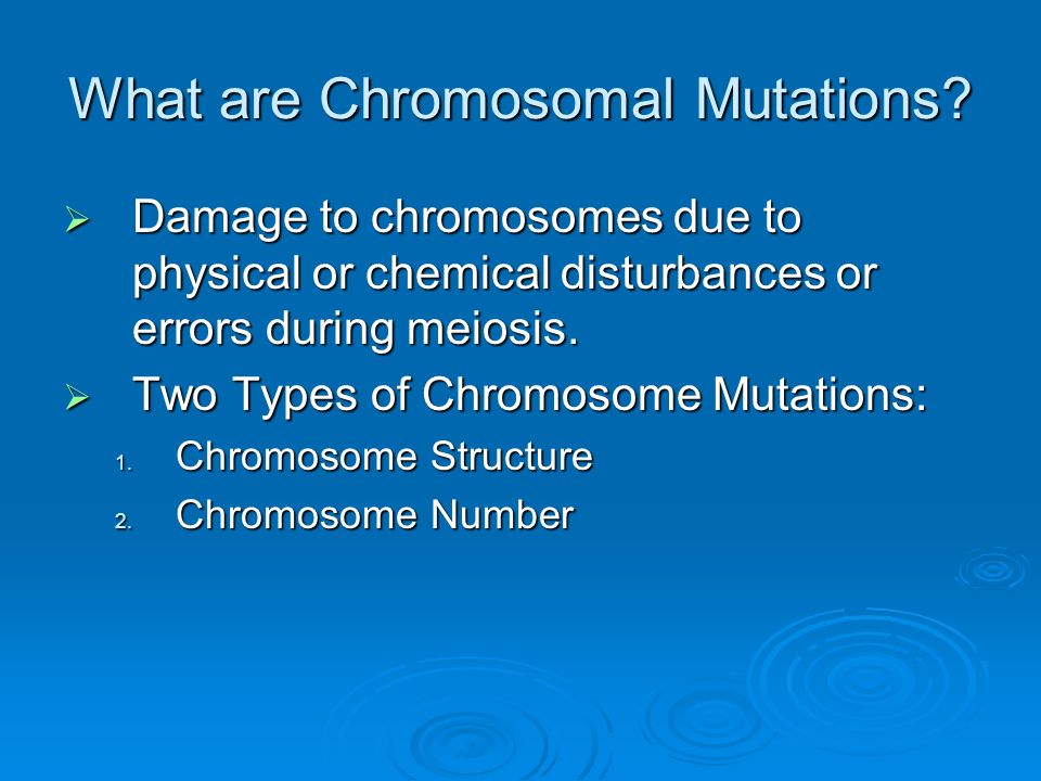 Biology Premed Windsor University School Of Medicine And Health What Are Chromosomal Mutations