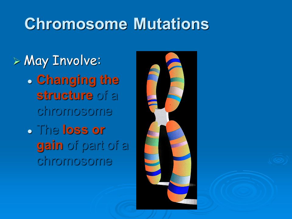 Biology Premed Windsor University School Of Medicine And Health 53 Chromosome Mutations