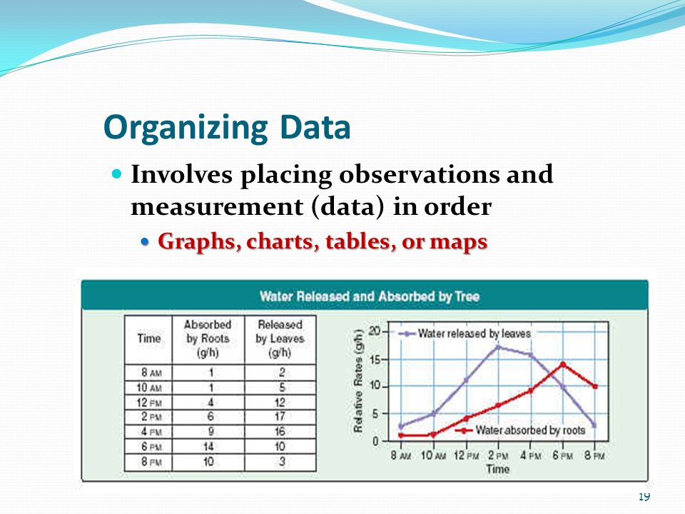 19 Organizing Data Involves placing observations and measurement (data) in order Graphs, charts, tables, or maps Graphs, charts, tables, or maps