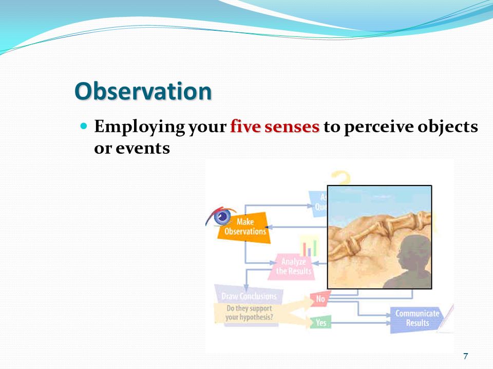 7 Observation five senses Employing your five senses to perceive objects or events