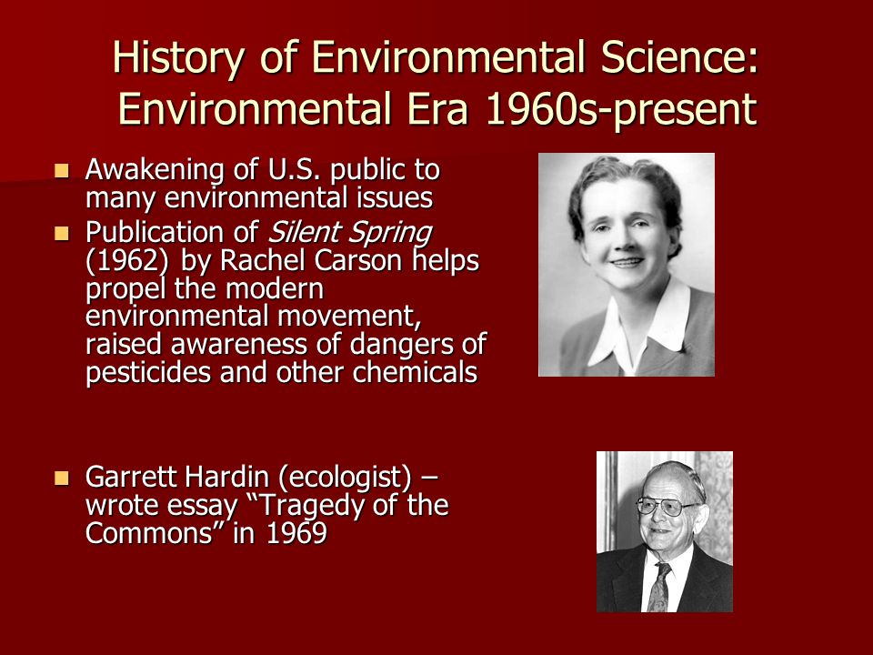 ap environmental science essay rubrics Research paper rubric name: _____ date: science journal articles essay, guide and rubrics contains 5 – 6 of criteria for. ap environmental science essay rubrics Research paper rubric name: _____ date: science journal articles essay, guide and rubrics contains 5 – 6 of criteria for.