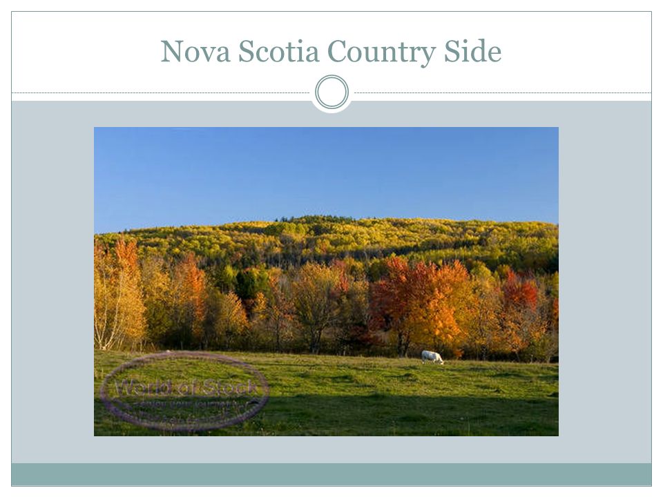 Nova Scotia Country Side
