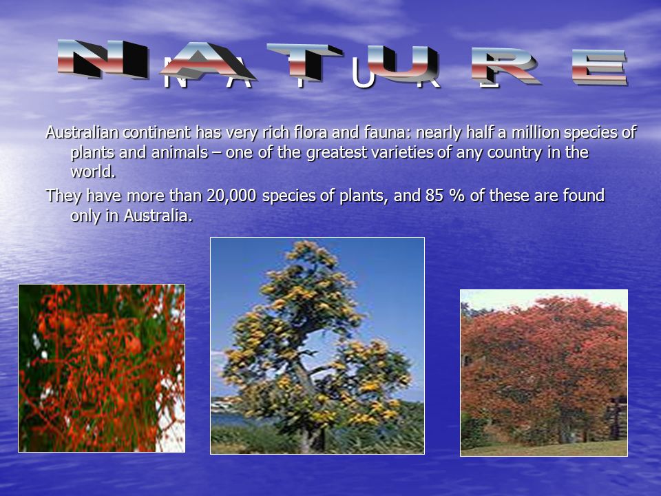 N A T U R E Australian continent has very rich flora and fauna: nearly half a million species of plants and animals – one of the greatest varieties of any country in the world.