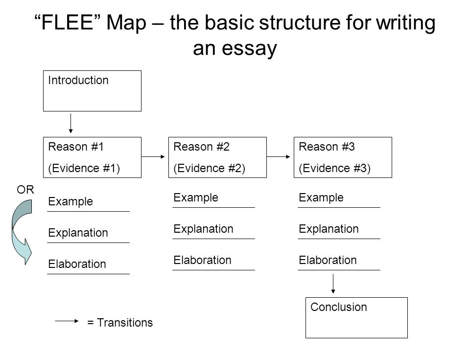 Basic essay introduction example