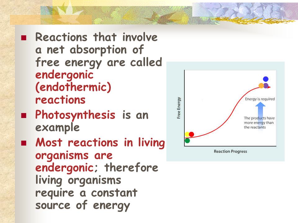 Reactions that involve a net absorption of free energy are called endergonic (endothermic) reactions Photosynthesis is an example Most reactions in living organisms are endergonic; therefore living organisms require a constant source of energy
