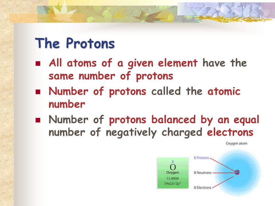 The Protons All atoms of a given element have the same number of protons Number of protons called the atomic number Number of protons balanced by an equal number of negatively charged electrons