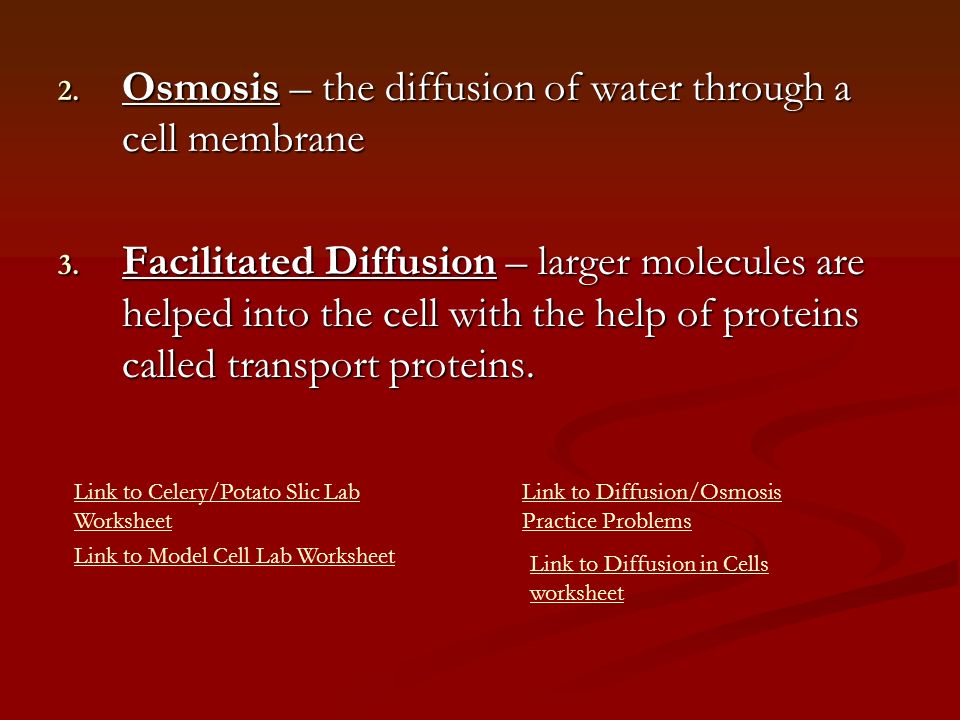 Chapter 9 Cell Processes I Chemistry Of Life A The Nature Practice Problems Link To Diffusion In Cells Worksheet 2 Osmosis The Of Water Through A Cell Membrane 3