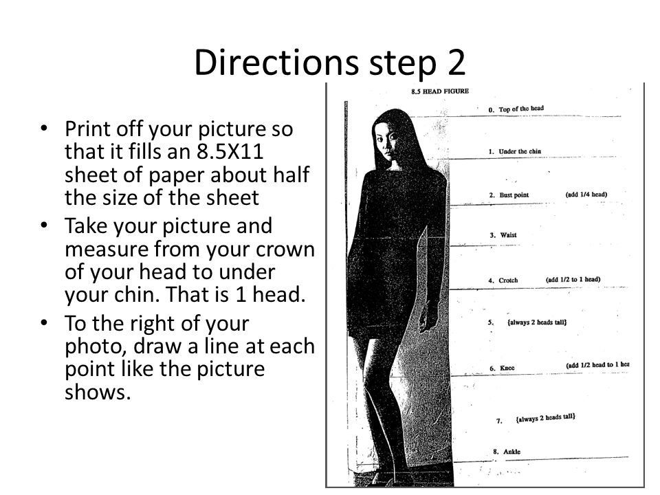 Directions step 2 Print off your picture so that it fills an 8.5X11 sheet of paper about half the size of the sheet Take your picture and measure from your crown of your head to under your chin.