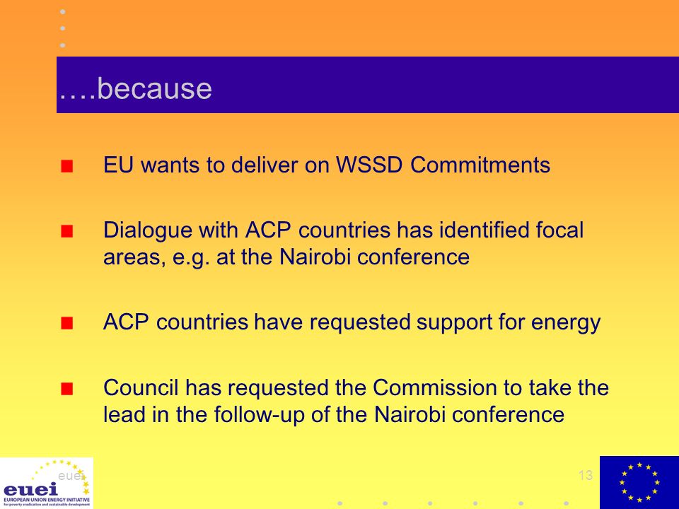 euei13 ….because EU wants to deliver on WSSD Commitments Dialogue with ACP countries has identified focal areas, e.g.