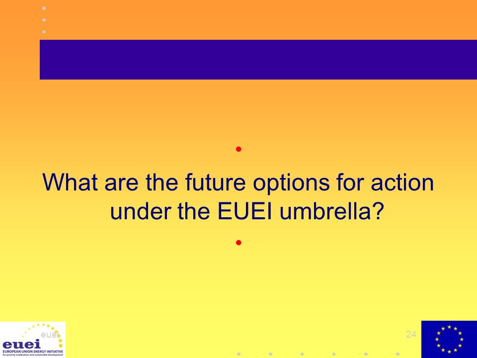 euei24 What are the future options for action under the EUEI umbrella