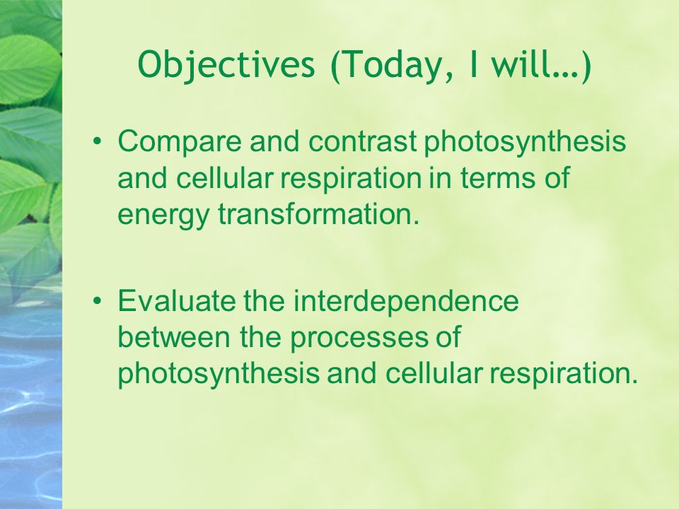 a comparison between the process of cellular respiration and photosynthesis a comparison between the process of cellular respiration and photosynthesis
