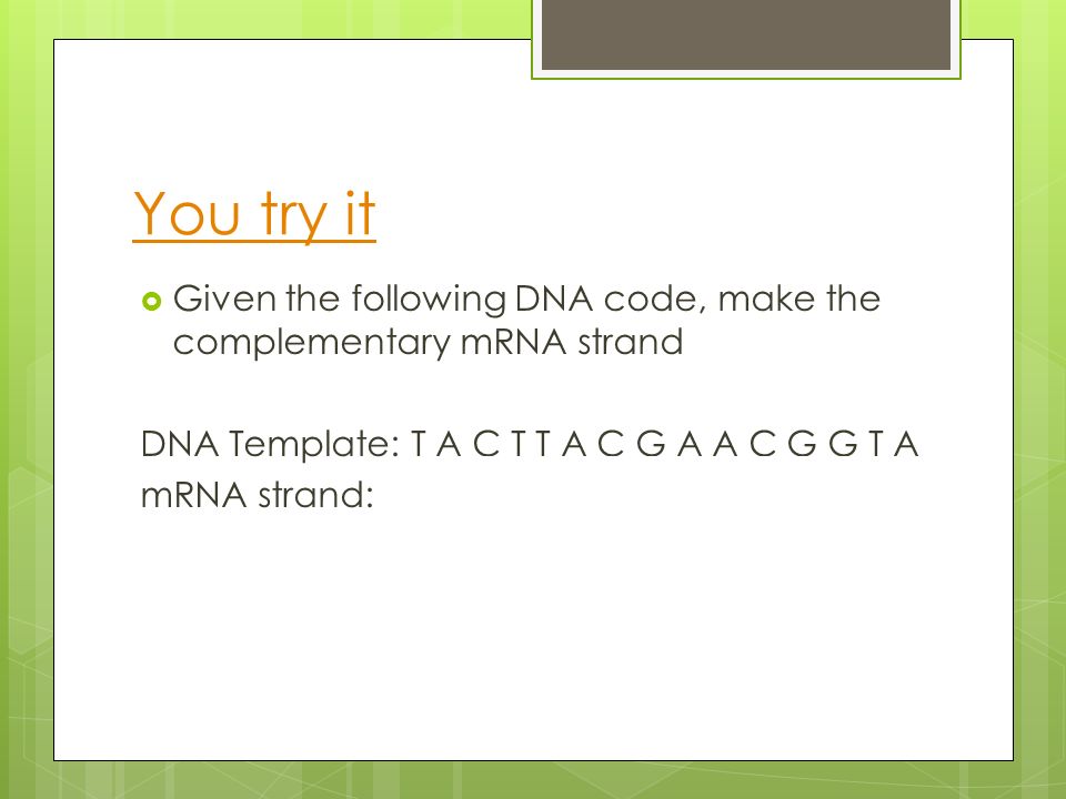 You try it  Given the following DNA code, make the complementary mRNA strand DNA Template: T A C T T A C G A A C G G T A mRNA strand: AUGAAUGCUUGCCAU