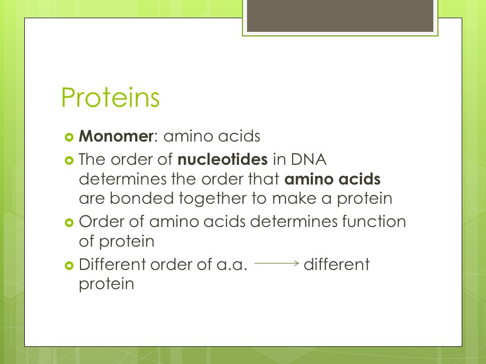 Proteins  Monomer : amino acids  The order of nucleotides in DNA determines the order that amino acids are bonded together to make a protein  Order of amino acids determines function of protein  Different order of a.a.different protein
