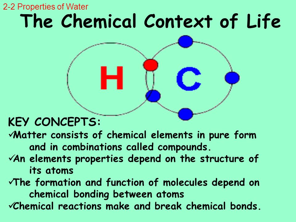 chemical context of life View test prep - chapter 2 quiz- chemical context of life from biology 1000 at uni chapter 2 quiz: chemical context of life 1) which of these is the most inclusive level of organization. chemical context of life View test prep - chapter 2 quiz- chemical context of life from biology 1000 at uni chapter 2 quiz: chemical context of life 1) which of these is the most inclusive level of organization.