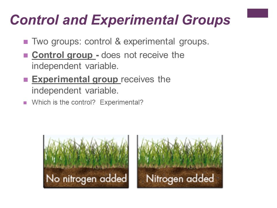 Control and Experimental Groups Two groups: control & experimental groups.