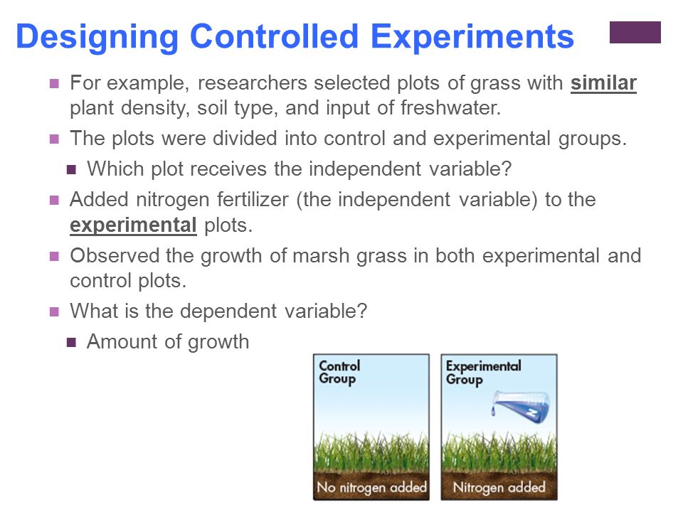Designing Controlled Experiments For example, researchers selected plots of grass with similar plant density, soil type, and input of freshwater.