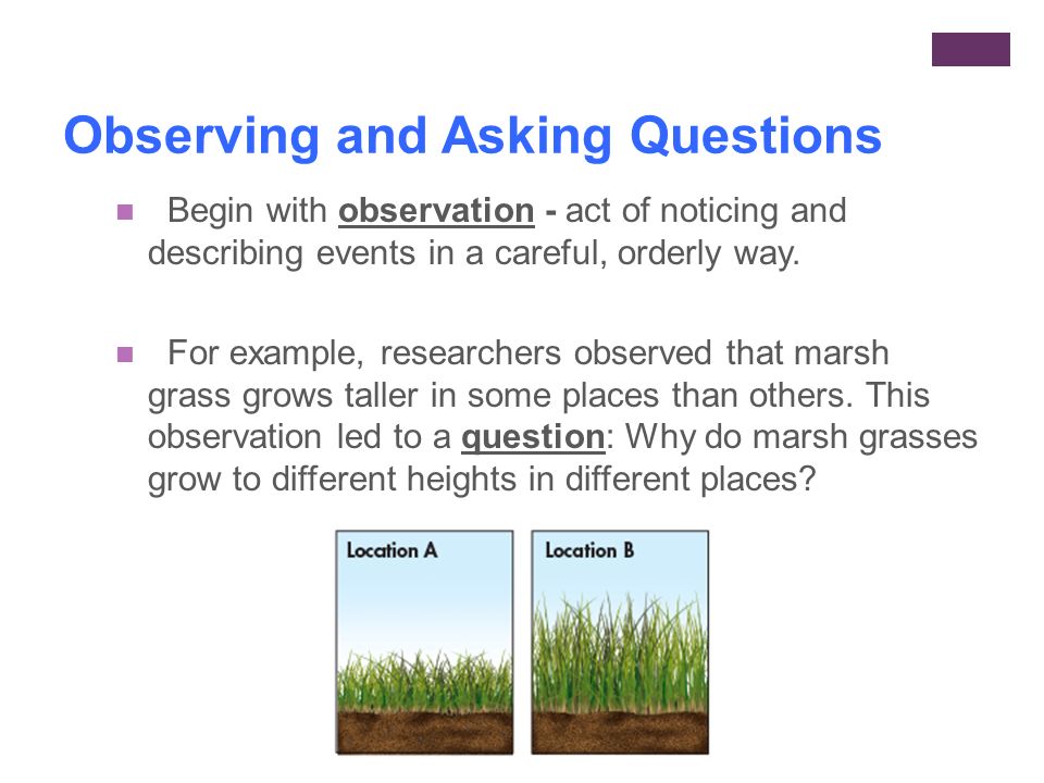 Observing and Asking Questions Begin with observation - act of noticing and describing events in a careful, orderly way.