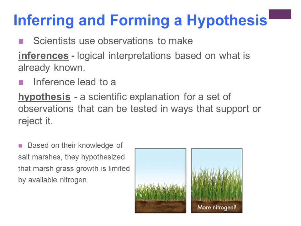 Inferring and Forming a Hypothesis Scientists use observations to make inferences - logical interpretations based on what is already known.