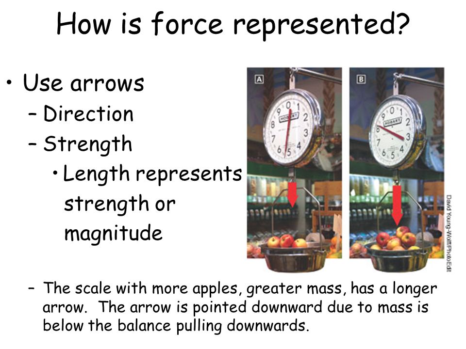 Printables Prentice Hall Physical Science Concepts In Action Worksheets forces and motion reference prentice hall physical science how is force represented use arrows length represents strength or magnitude