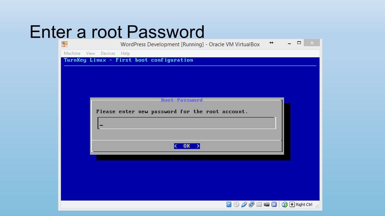 Enter a root Password