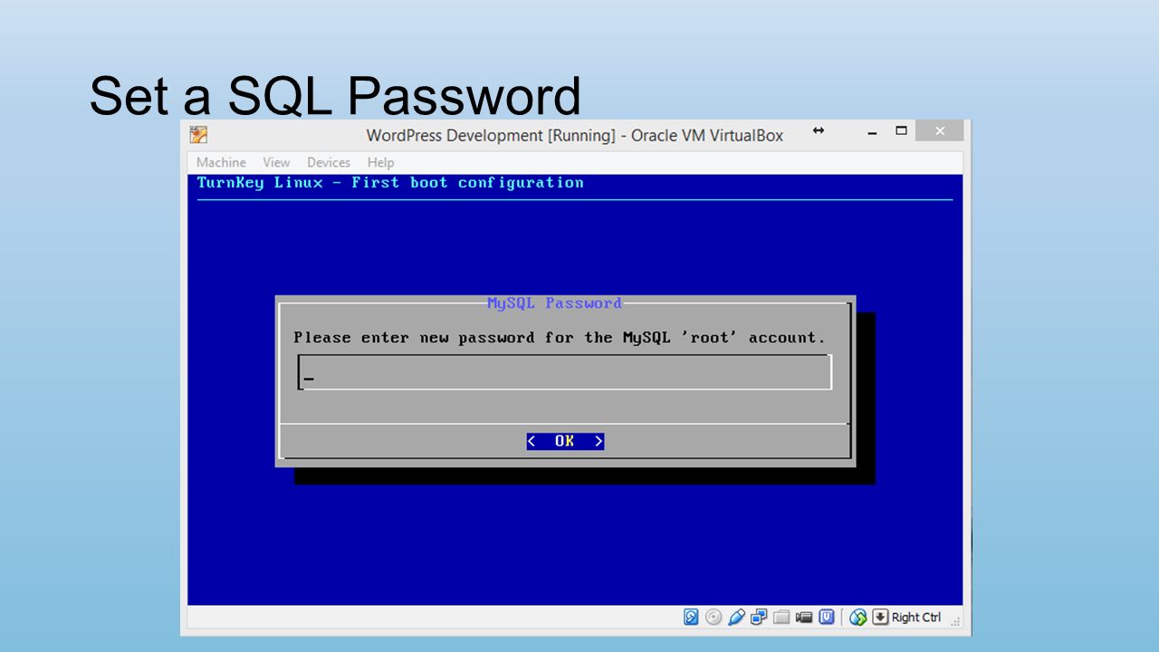 Set a SQL Password