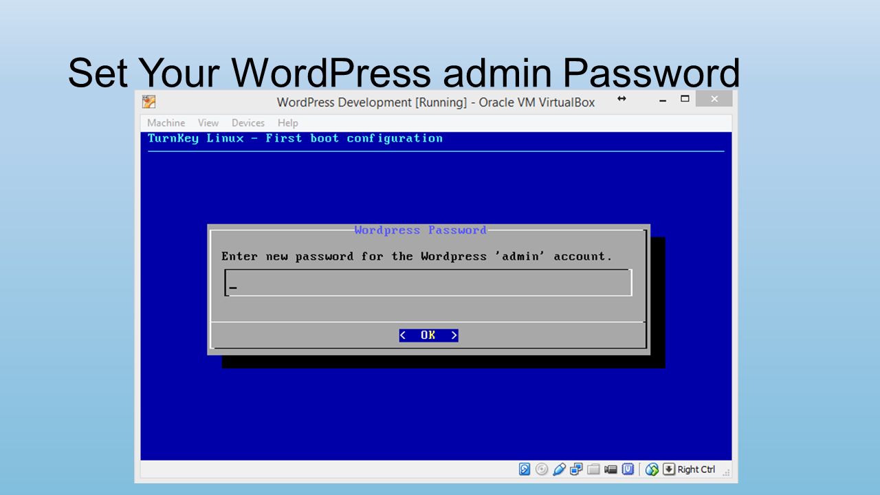 Set Your WordPress admin Password