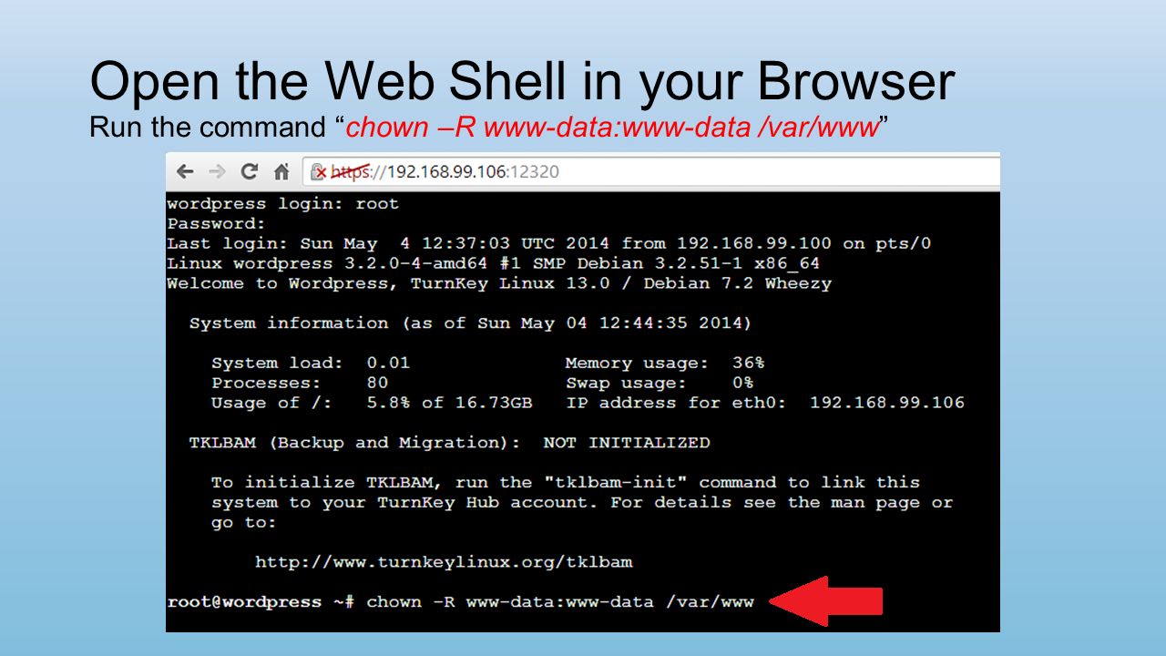 Open the Web Shell in your Browser Run the command chown –R www-data:www-data /var/www