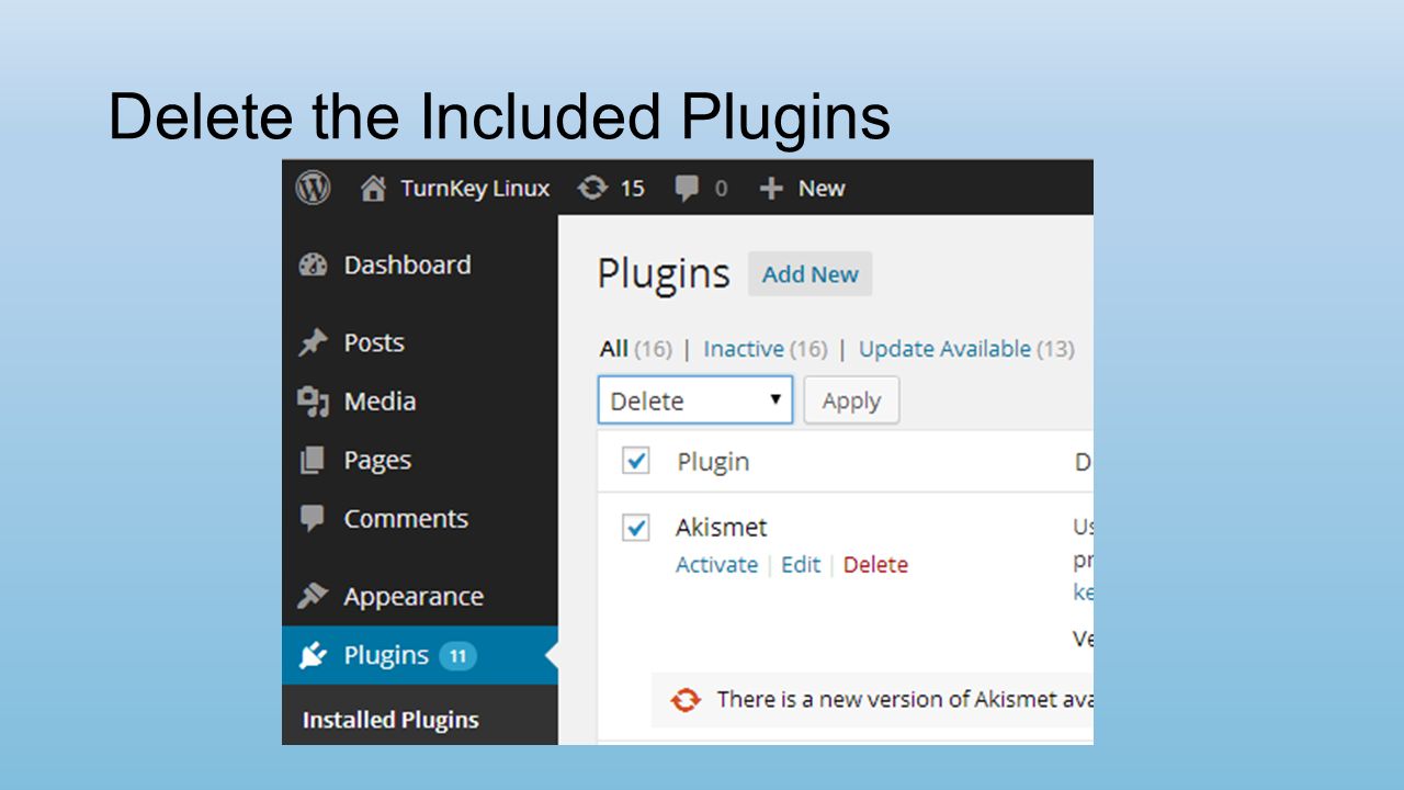 Delete the Included Plugins