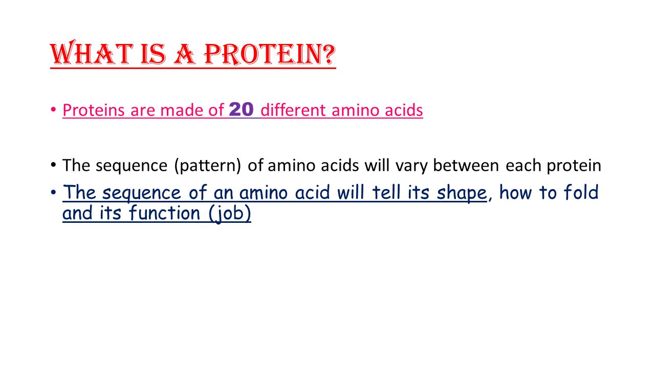 What is a Protein.
