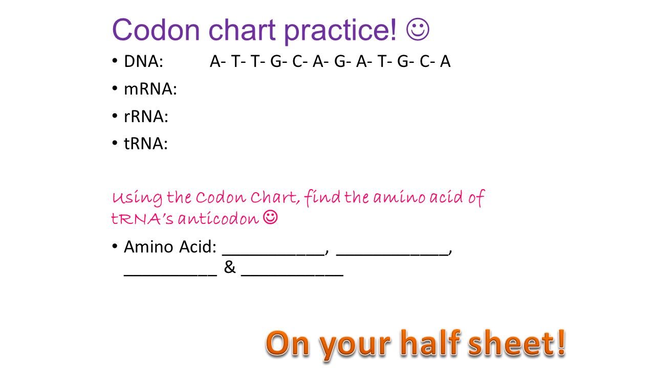 Codon chart practice.