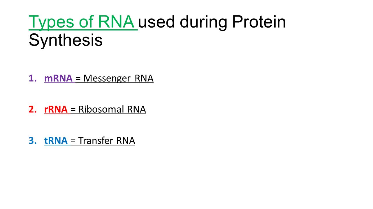 Types of RNA used during Protein Synthesis 1.mRNA = Messenger RNA 2.rRNA = Ribosomal RNA 3.tRNA = Transfer RNA