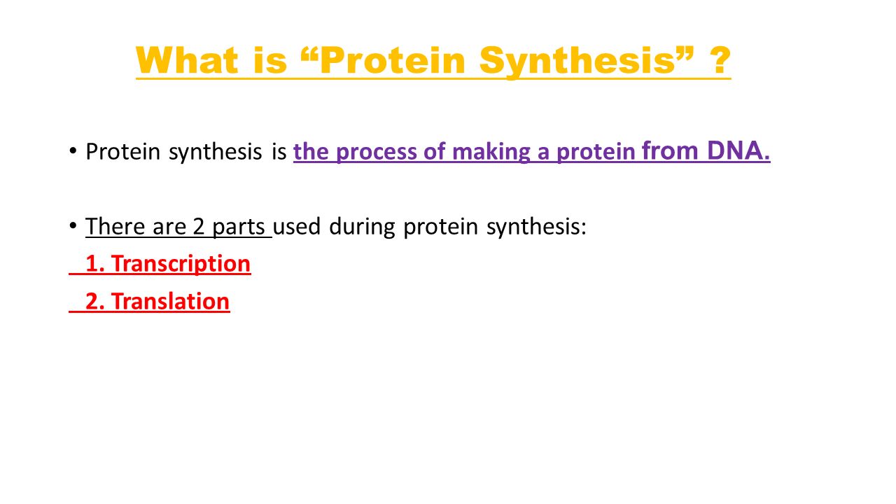 What is Protein Synthesis . Protein synthesis is the process of making a protein from DNA.
